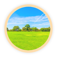 行楽・ロケ・スポーツ